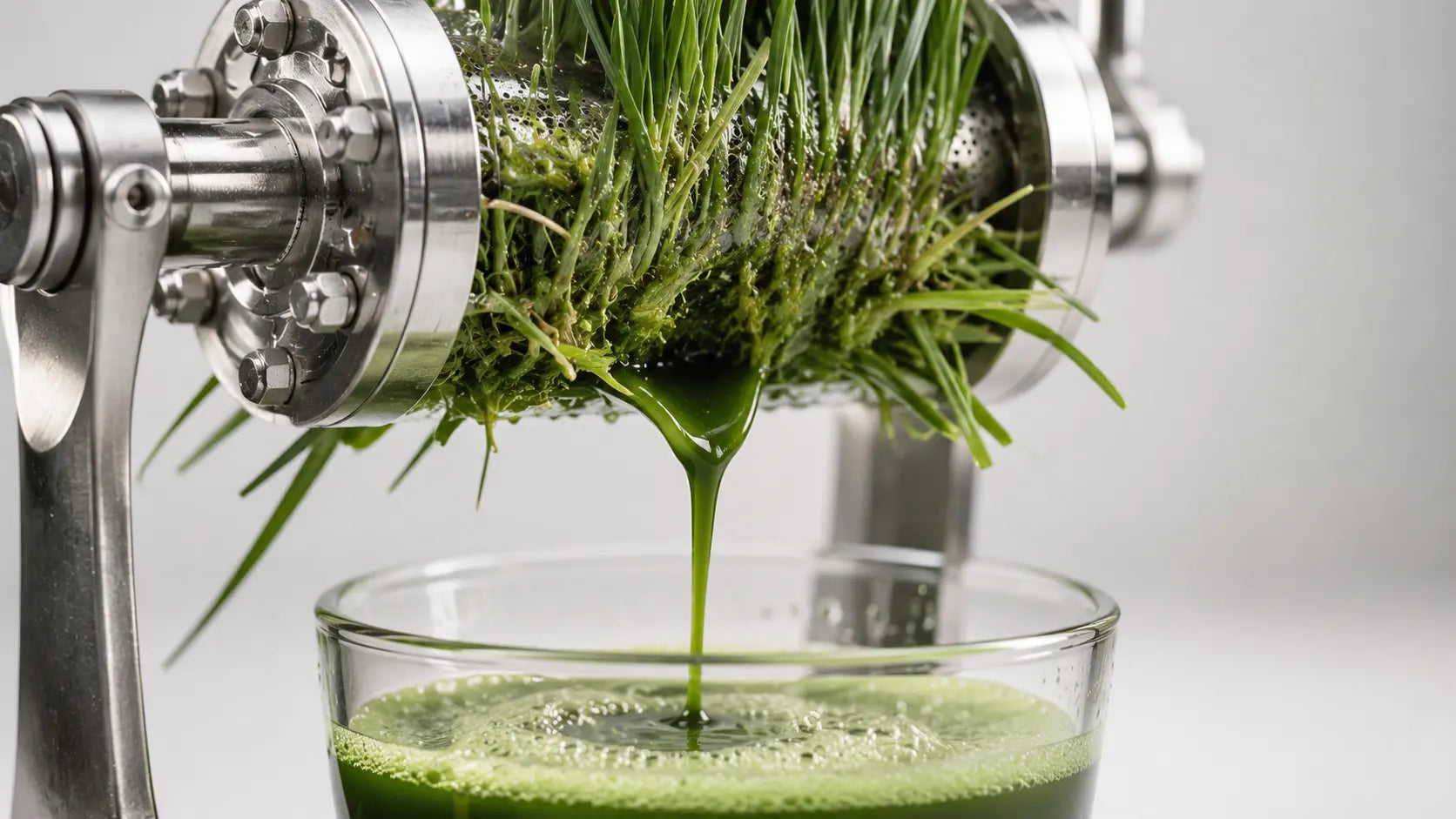 Erfahre mehr über die Herstellung von Grassaftpulvern