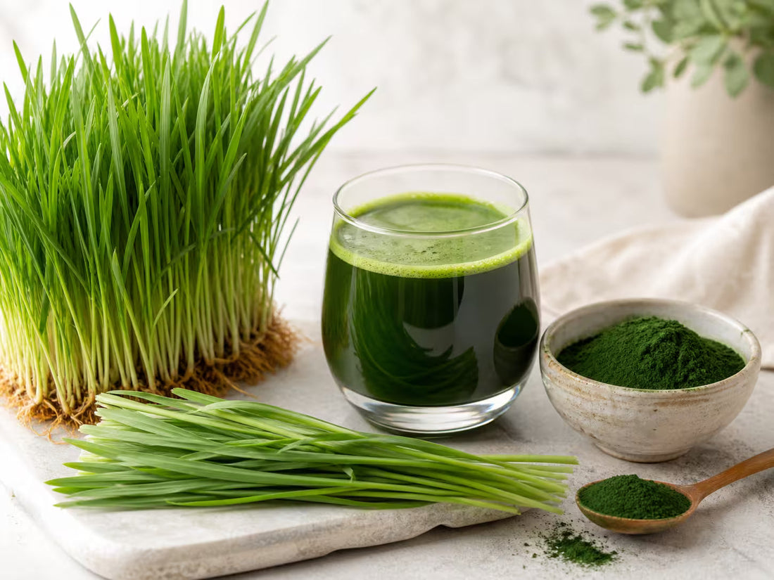 Blog Artikel: Warum Grassaftpulver kein Hype sind & was sie besonders macht