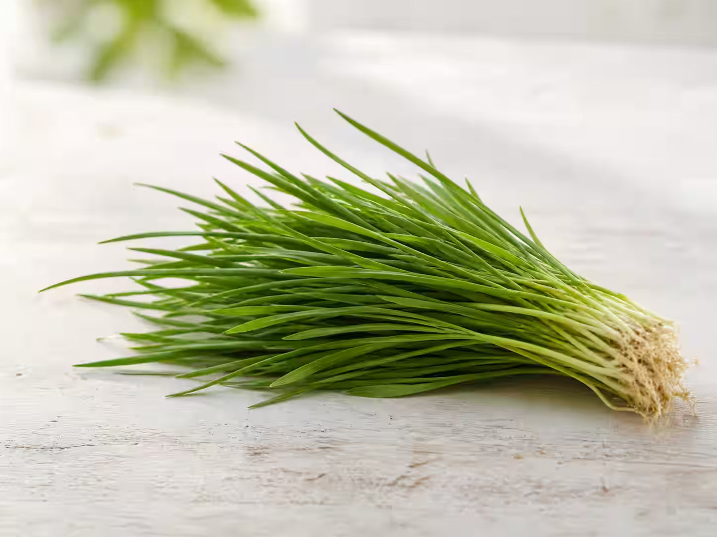 kost!bar BIO Greens besteht zu 20 Prozent aus Hafergras Saftpulver