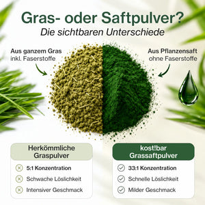Vergleich Graspulver und Grassaftpulver: hellgrünes gemahlenes Gras mit Fasern neben dunkelgrünem Grassaftpulver